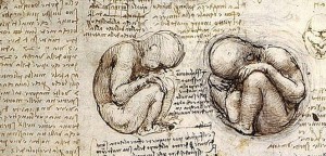 davinci