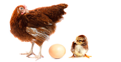 what-came-first-quiz