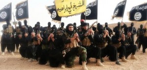 לוחמי דאעש, כלי הנשק ודגליהם