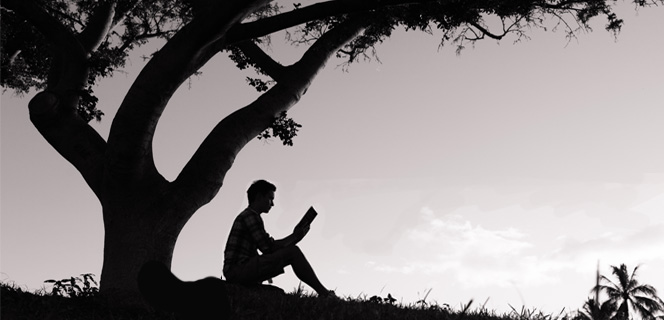 איש יושב וקורא ספר מתחת לעץ בזריחה