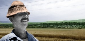 קיבוצניק על רקע שדות תבואה