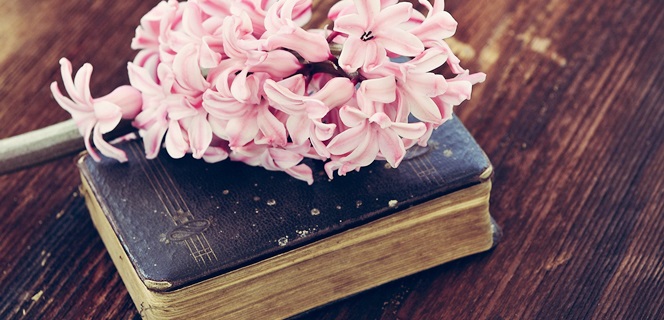 פרחים על ספר