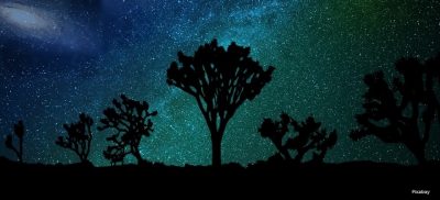 כותרתצלליות עצי יהשע וברקע שביל החלב