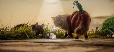 שני חתולים וציפור צדים שני עכברים המחזיקים בדגל לבן