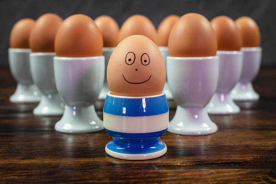 ביצה בורחת מבשורה: על הביצה שהתחפשה בראי הפילוסופיה הקיומית