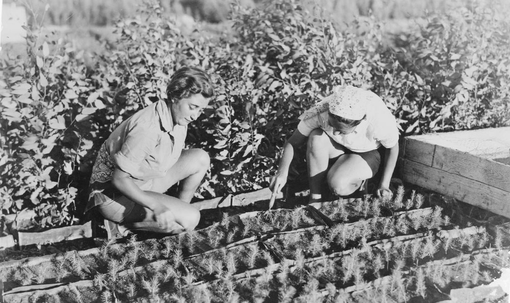 Cultivating a New Generation of Zionists, One Orchard at a Time